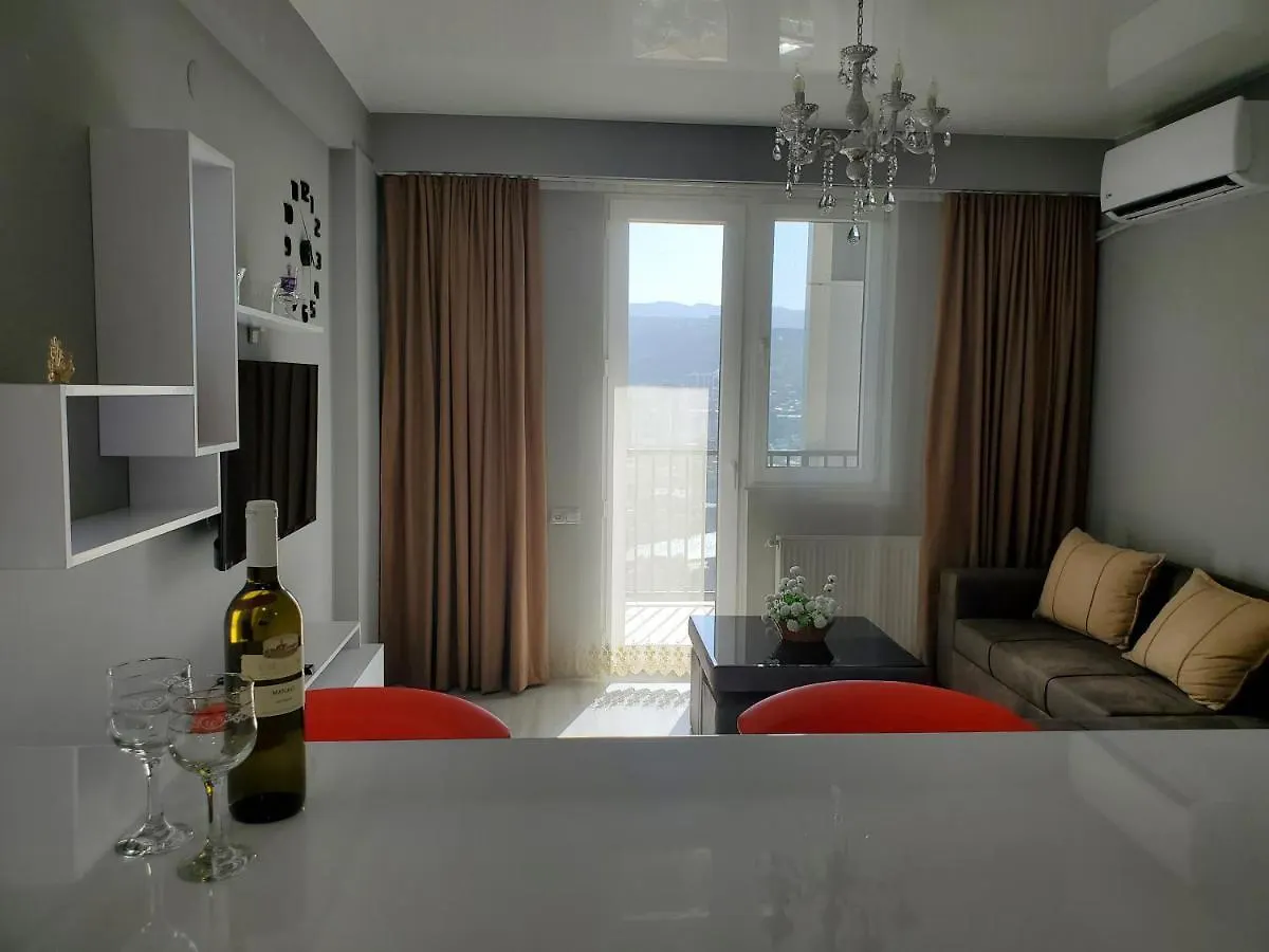 Cozy 1-Bedroom Unit In Tbilisi, With Amazing View 格鲁吉亚